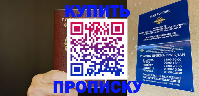 прописка поиск в Зиме